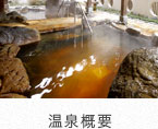 温泉概要