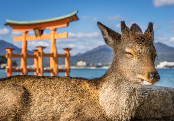 宮島