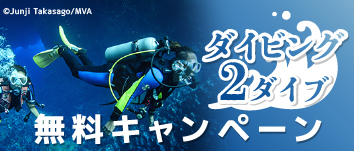 ダイビング2ダイブ無料