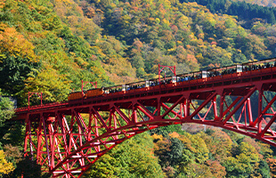 黒部峡谷 トロッコ電車